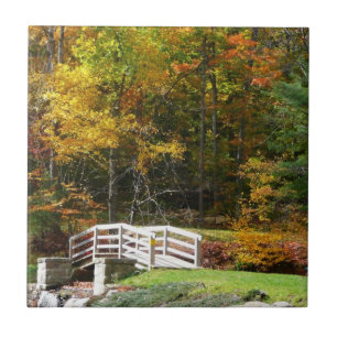 Azulejo De Cerâmica Sete Primaveras Caindo Ponte I Autumn Landscape