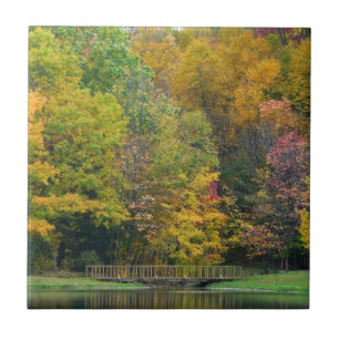Azulejo De Cerâmica Sete Primaveras Call Bridge II Autumn Landscape