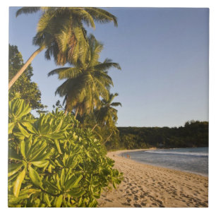 Azulejo De Cerâmica Seychelles, Ilha de Mahe, praia de Anse Takamaka,