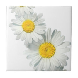 Azulejo De Cerâmica Shasta Daisies