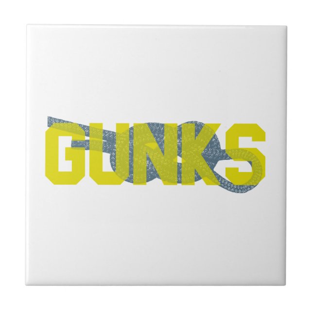 Azulejo De Cerâmica Shawagunks Subindo (Frente)