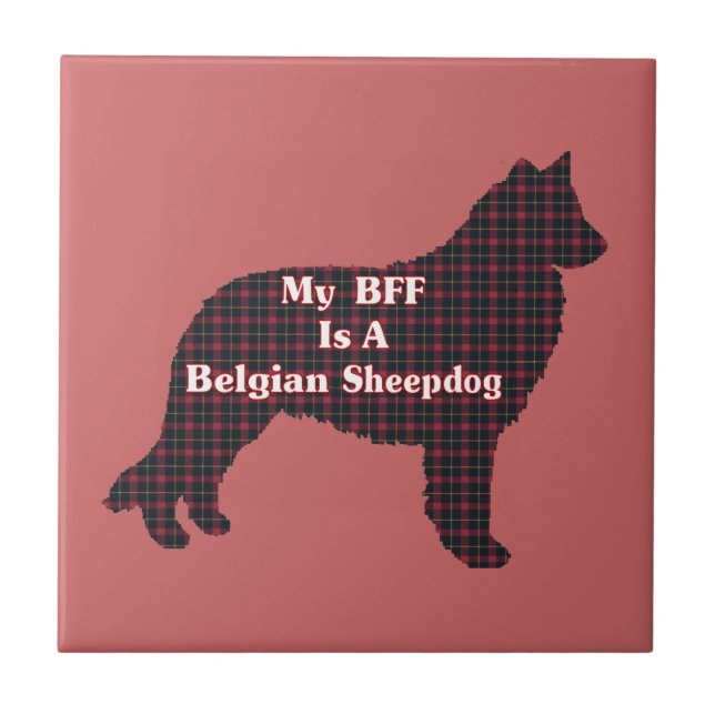 Azulejo De Cerâmica Sheepdog belga BFF (Frente)