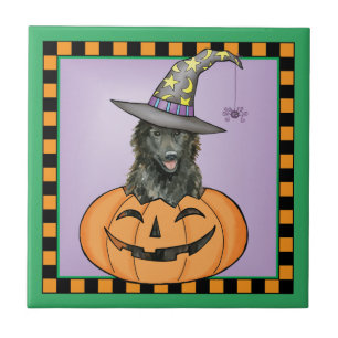 Azulejo De Cerâmica Sheepdog Halloween belga