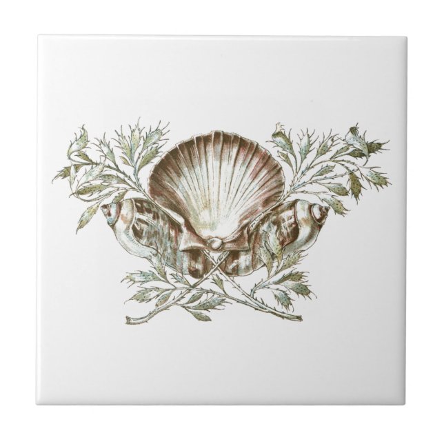 Azulejo De Cerâmica Shell branco (Frente)