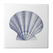 Shell do Mar Azul Moderno Vintage
