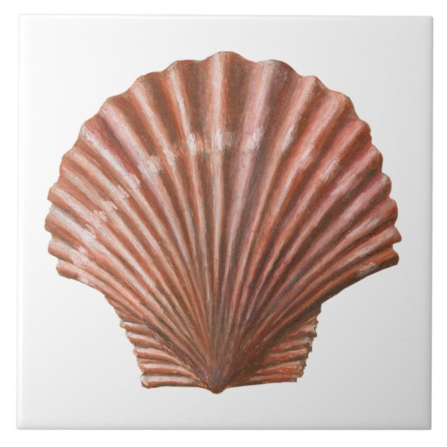 Azulejo De Cerâmica Shell Scallop (Frente)