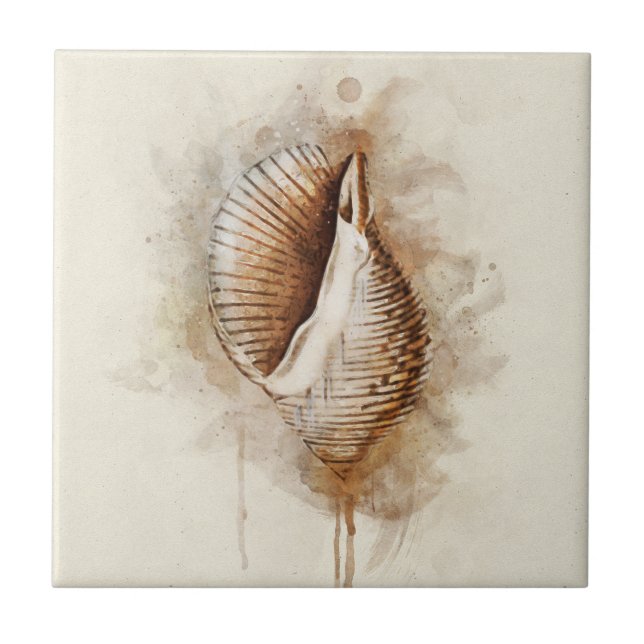 Azulejo De Cerâmica Shell Tropical Costeira de Praia (Frente)