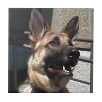 Azulejo De Cerâmica Shep