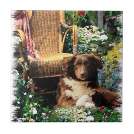 Azulejo De Cerâmica Shepherd Dog Art Australiano