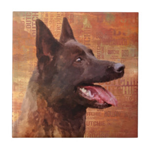 Azulejo De Cerâmica Shepherd - Ilustração Holandesa