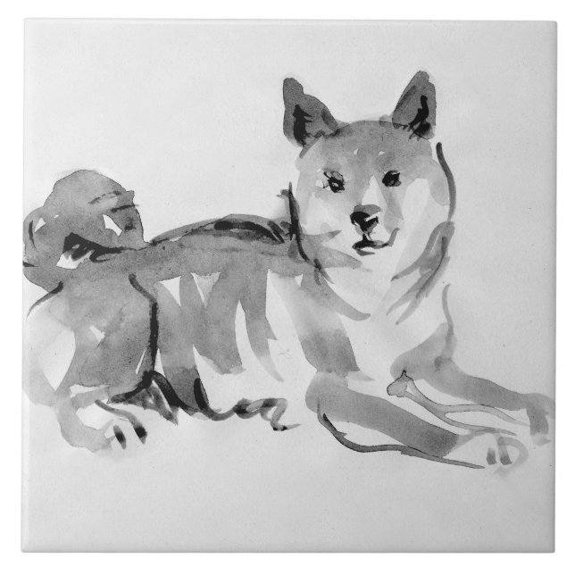Azulejo De Cerâmica Shiba Inu Original Pintura 2 Anos Cachorro Anivers (Frente)