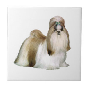 Azulejo De Cerâmica Shih Tzu (show stand)