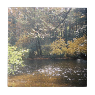 Azulejo De Cerâmica Shimmering