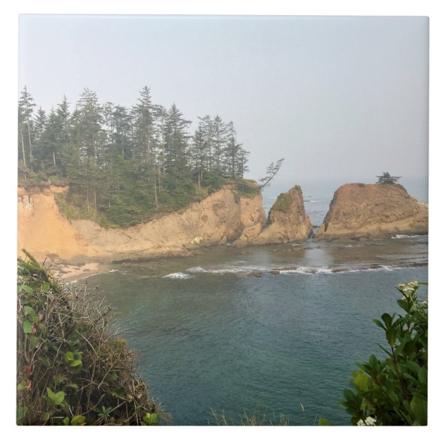 Azulejo De Cerâmica Shores Acres State Park, Costa do Oregon (Frente)