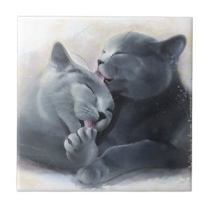 Azulejo De Cerâmica Shorthair britânico