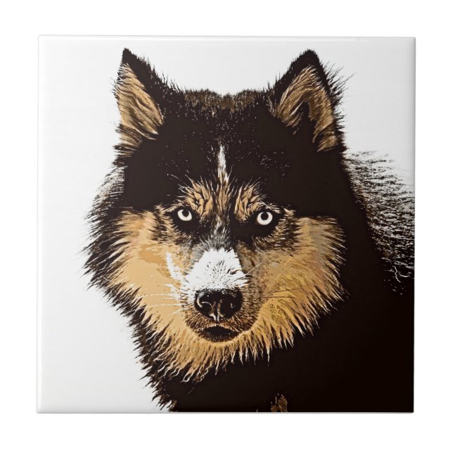 Azulejo De Cerâmica Siberian Husky (Frente)