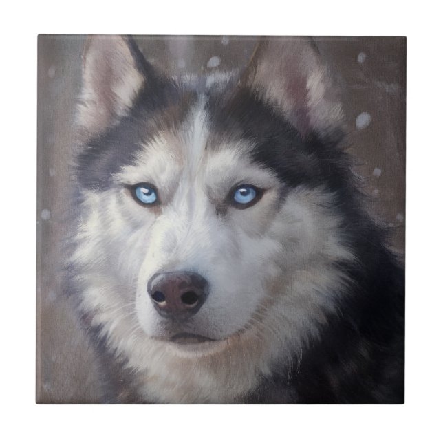 Azulejo De Cerâmica Siberian Husky (Frente)