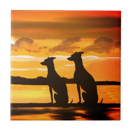 Azulejo De Cerâmica Sighounds Greyhound Sunrise