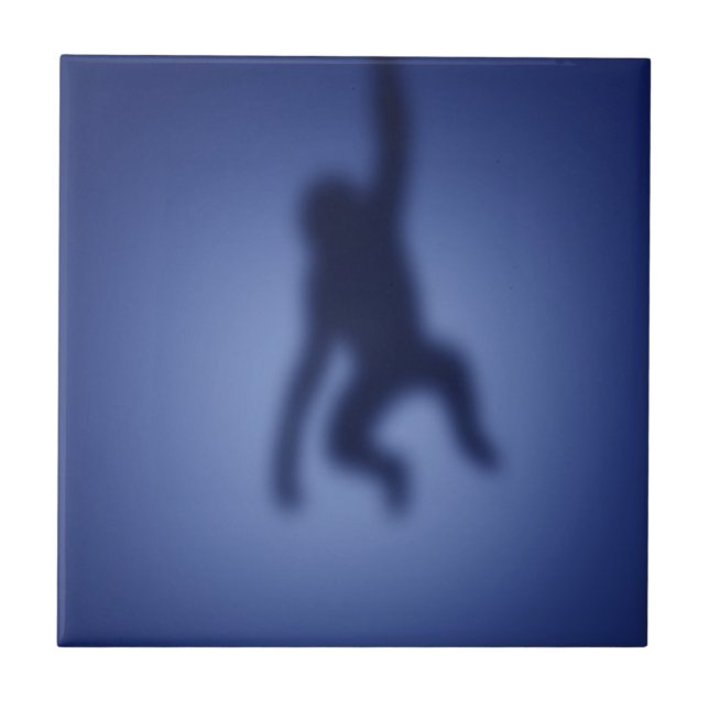 Azulejo De Cerâmica Silhueta do macaco (Frente)