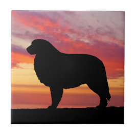 Azulejo De Cerâmica Silhueta do por do sol do caqui de grandes