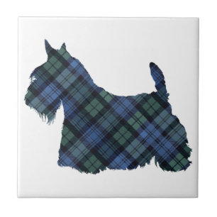 Azulejo De Cerâmica Silhueta do Terrier Escocês com Tartan