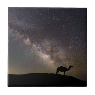 Azulejo De Cerâmica Silhueta e Milkyway do camelo