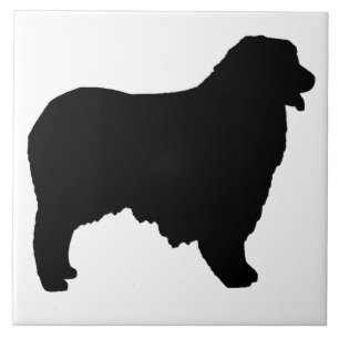 Azulejo De Cerâmica Sítio Shepherd australiano