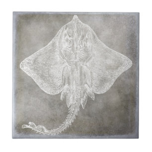 Azulejo De Cerâmica Skate de Imagem Costeira, Mancha-d-Água Neutra
