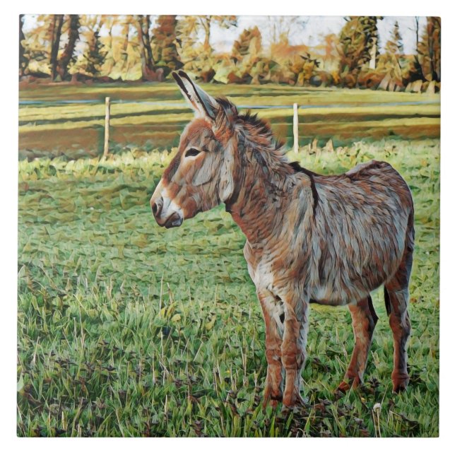 Azulejo De Cerâmica smartmix animal- burro 1 (Frente)