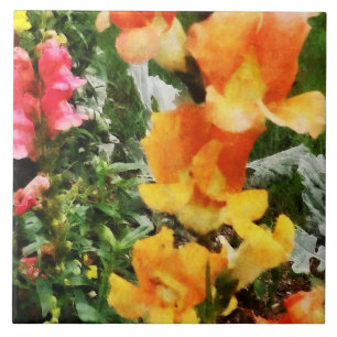 Azulejo De Cerâmica Snapdragons Coloridos