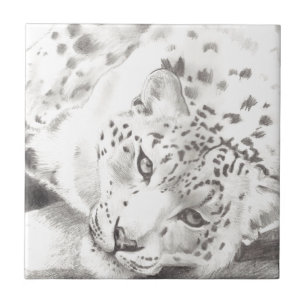 Azulejo De Cerâmica Snow Lepard