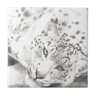 Azulejo De Cerâmica Snow Lepard