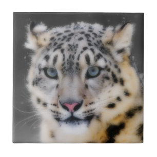 Azulejo De Cerâmica Snow Lepard