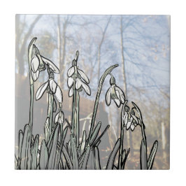 Azulejo De Cerâmica Snowdrops