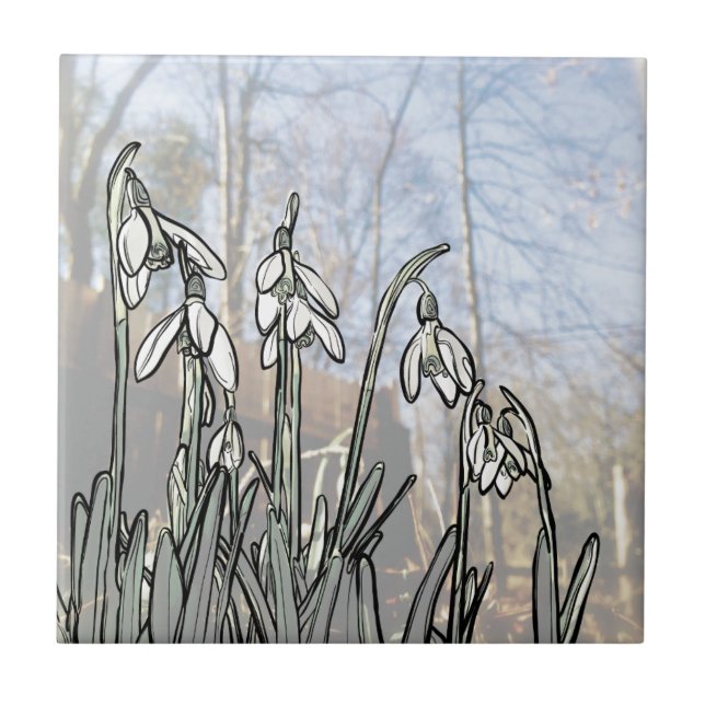Azulejo De Cerâmica Snowdrops (Frente)