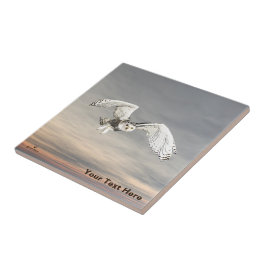 Azulejo De Cerâmica Snowy Owl