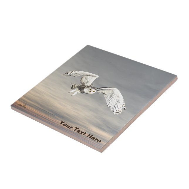 Azulejo De Cerâmica Snowy Owl (Lateral)