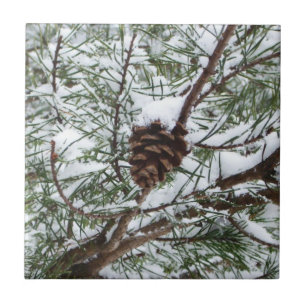 Azulejo De Cerâmica Snowy Pine Cone II Fotografia de inverno