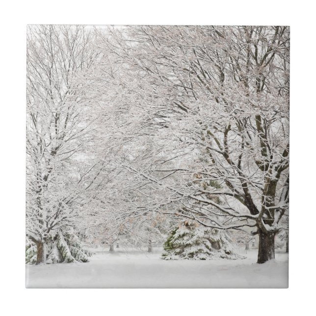 Azulejo De Cerâmica Snowy Winter Forest (Frente)
