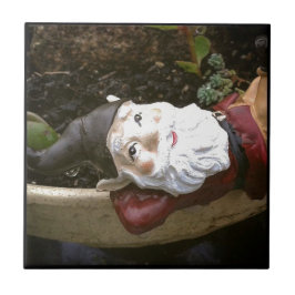 Azulejo De Cerâmica Só Chillin, Um Gnomo De Jardim