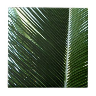 Azulejo De Cerâmica Sobreposição das bordas das palmas Abstrato Verde