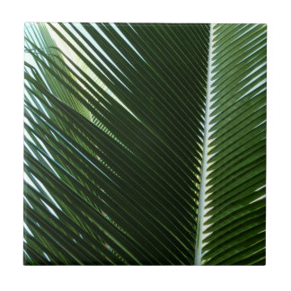 Azulejo De Cerâmica Sobreposição das bordas das palmas Abstrato Verde 