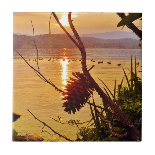 Azulejo De Cerâmica Sol do Lago Pinecone (Frente)