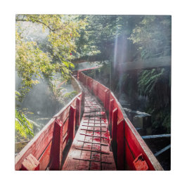 Azulejo De Cerâmica Sol nos Termas Geometricas, Conaripe, Chile