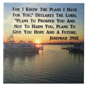 AZULEJO DE CERÂMICA SOL PACÍFICO NO LAGO