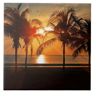Azulejo De Cerâmica Sol tropical bonito