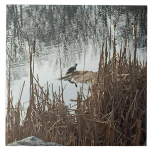 Azulejo De Cerâmica Solstício de inverno
