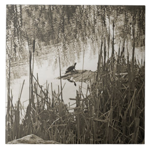 Azulejo De Cerâmica Solstício de inverno