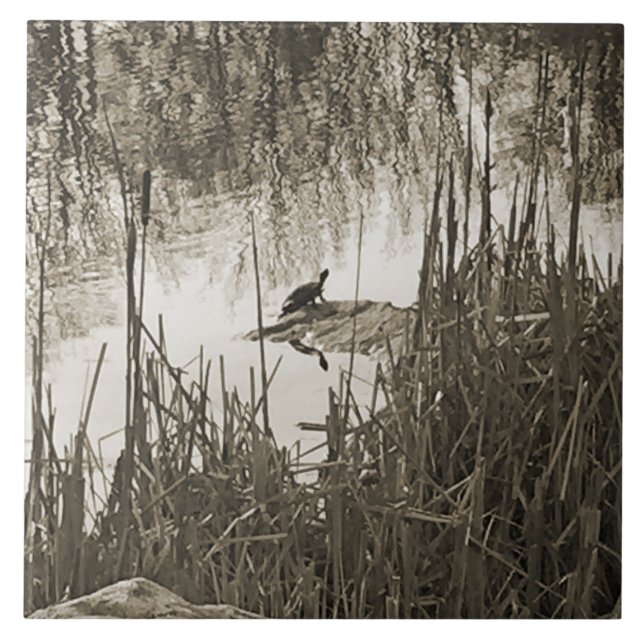 Azulejo De Cerâmica Solstício de inverno (Frente)