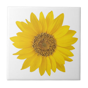 Azulejo De Cerâmica Solteiro Amarelo Amarelo